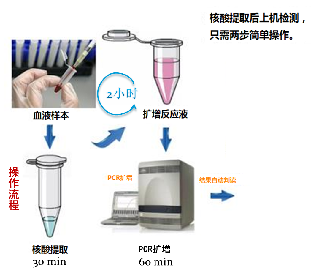 遺傳性耳聾基因檢測